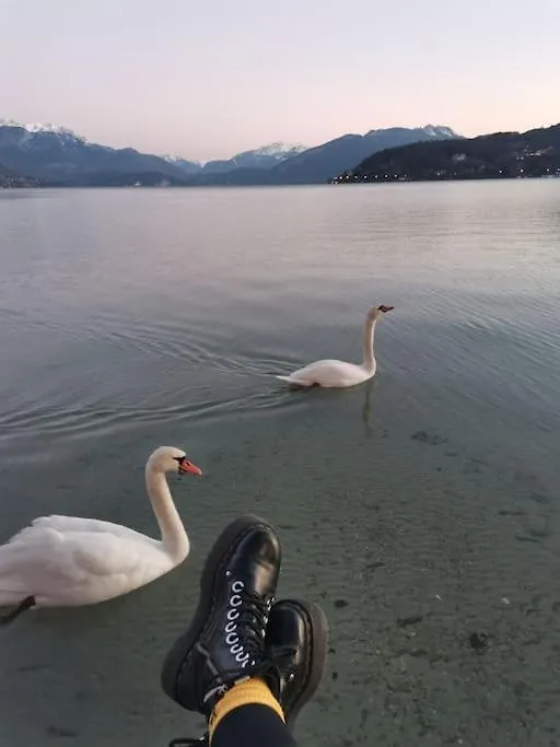 Cocon A La Campagne,Proche Annecy Apartment Alby-sur-Cheran