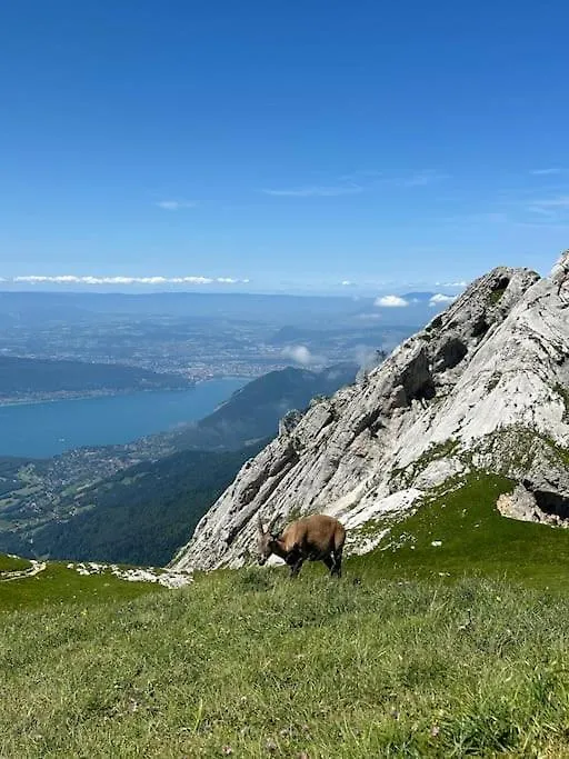 Cocon A La Campagne,Proche Annecy Apartment Alby-sur-Cheran