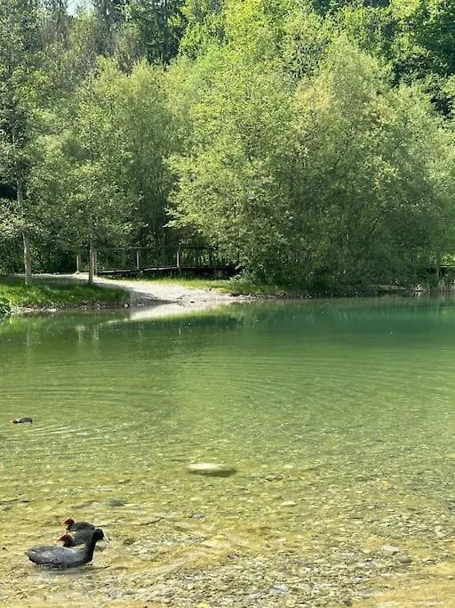 Cocon A La Campagne,Proche Annecy Apartment Alby-sur-Cheran 0*,  France